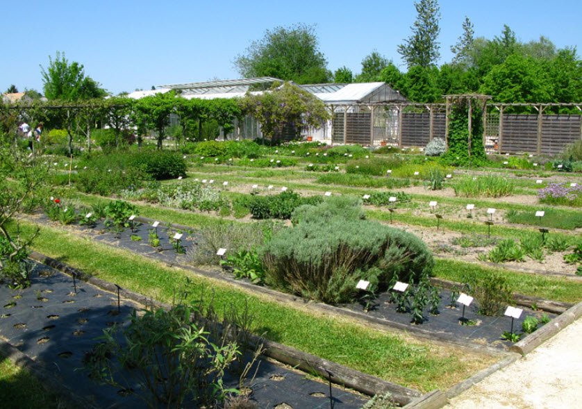 Conservatoire National des Plantes à Parfum, Médicinales et Aromatiques, Milly-la-Forêt, France, France
